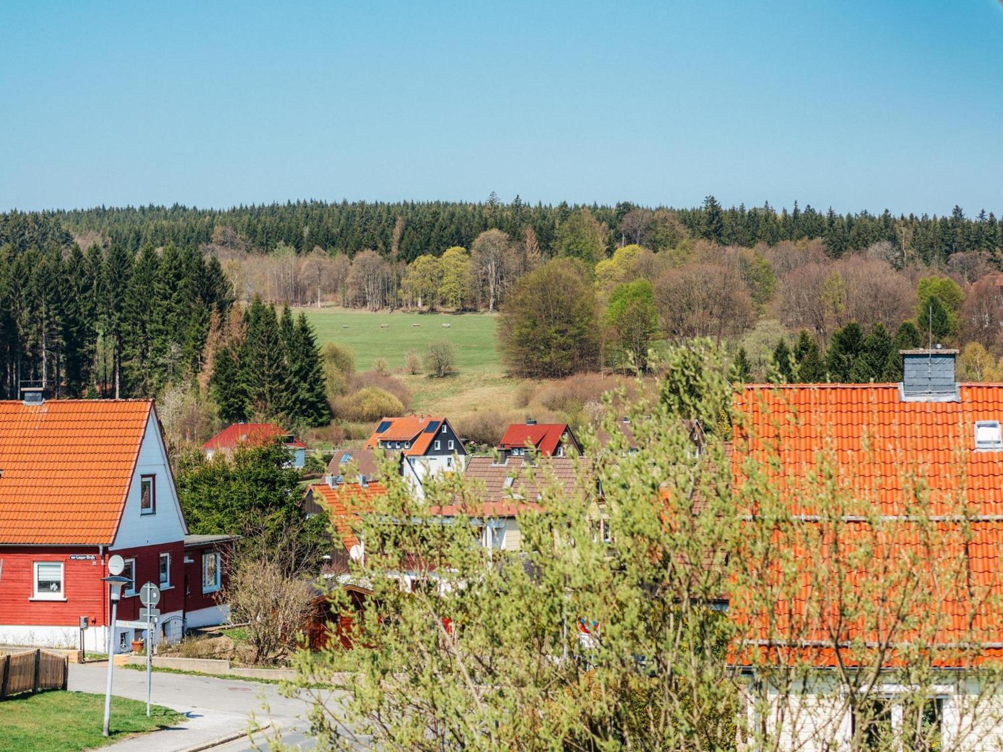 Mirablau Braunlage Appartement Buitenkant foto